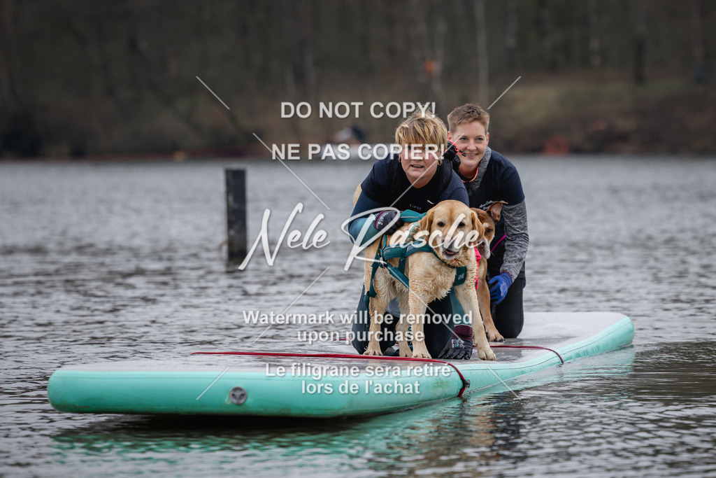 nelerasche_Hulsbeek_Sa1515-1600_301 | nelerasche