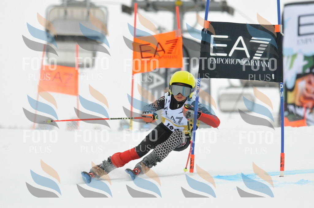 DSC_8096 | holidayphoto