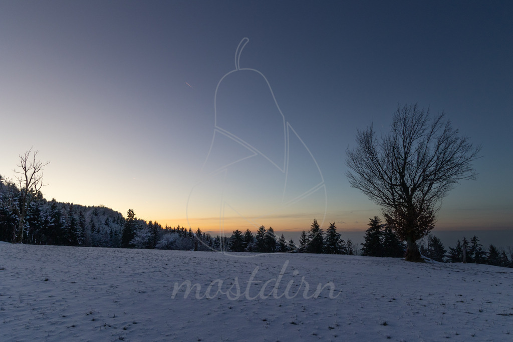 Winter am Hochkogelberg | Ihre Fotografin im Lungau, ihre Fotografin im Mostviertel, Wandbilder Onlineshop, Imagefotos für Ihr Unternehmen,  - Realisiert mit Pictrs.com