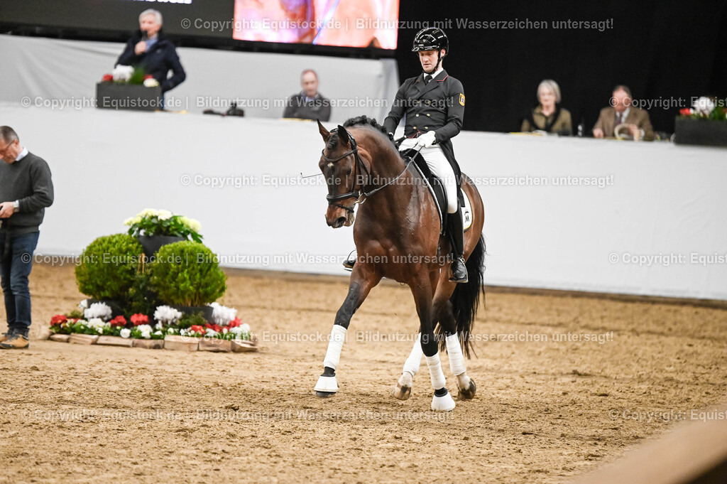 20260307_Hengstvorstellung-Marbach_0354 | equistock