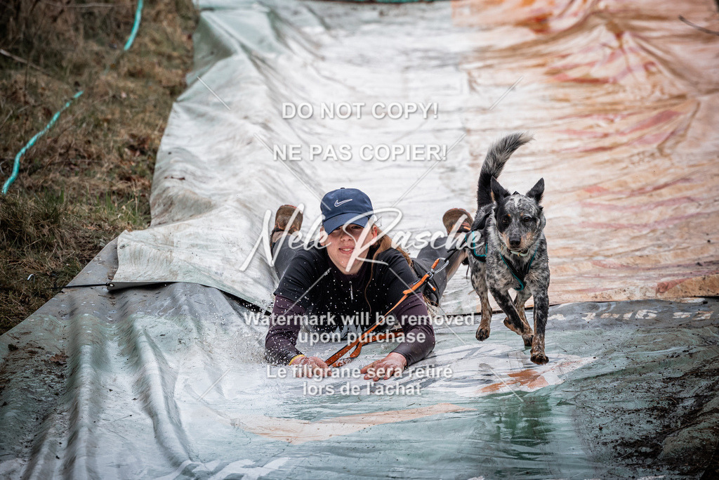 nelerasche_1100-1130_345 | nelerasche