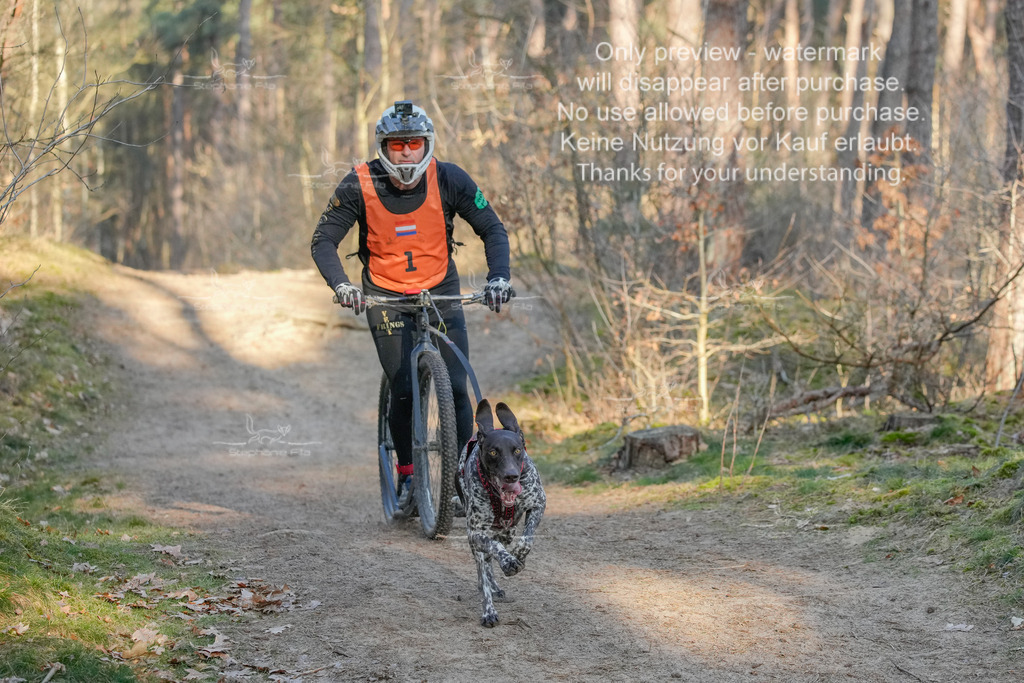 Sa_Scooter-5 | stephaniefillaphotographie - Realisiert mit Pictrs.com