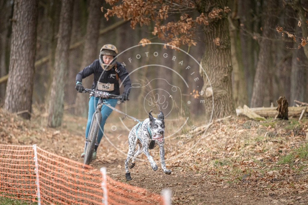 Pfotenfotografie_DV3A1433 | Hundefotografie, Tierfotograf, Pfotenfotografie, Fotoshooting Hund, Hunde Portrait, Hundesport, Hundeportraits, Heideshooting, Hunde, Sportfotograf, Hundefotograf, Turnierhundsport, THS,  - Realisiert mit Pictrs.com