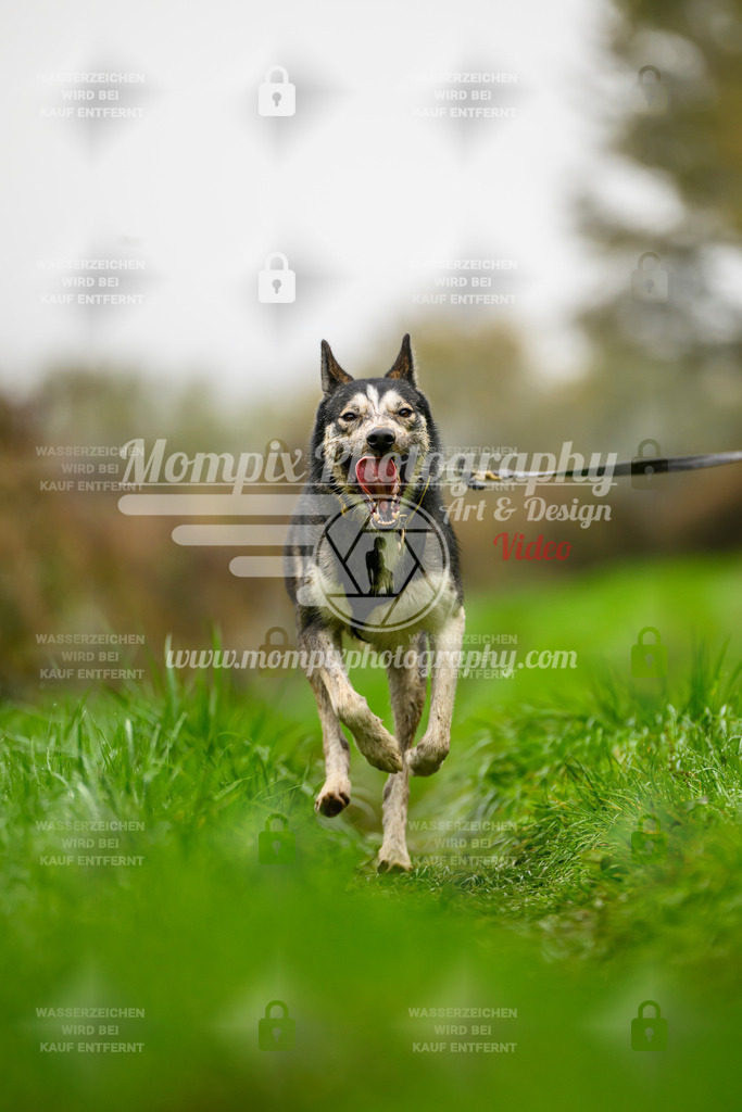 MompixPhotography_20TSB_E8_Bike-162 | PayLife