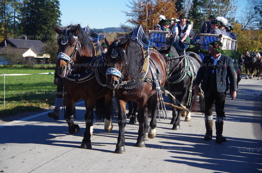 IMGP8095 | fotografiert von Axel PollmannLeonhardi Wallfahrt Benediktbeuern und Murnau, Fronleichnam, Fasching, Landschaft im Loisachtal und Benediktbeuern  - Realisiert mit Pictrs.com