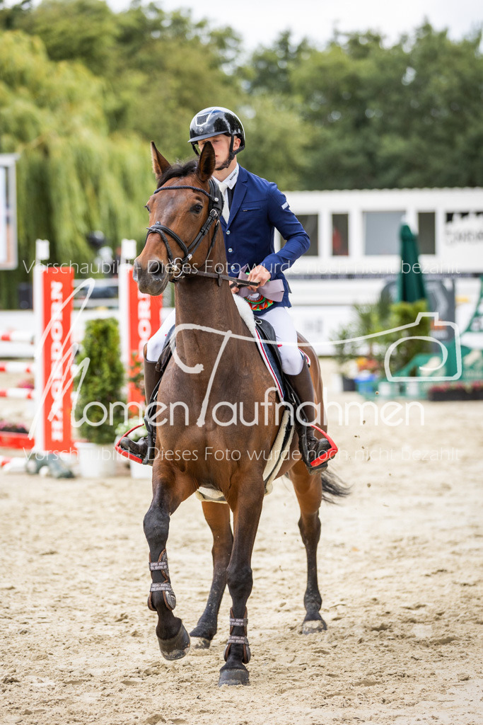 BHO-2PhSpr-M-5-2445 | MomenTaufnahmen Pferdesportfotos