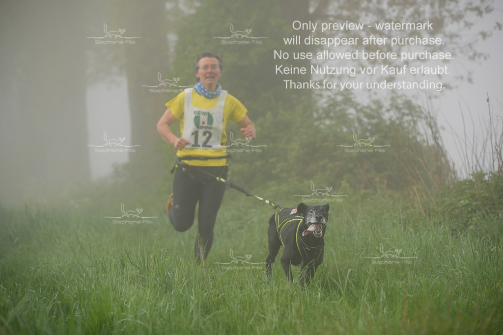 SA_GL2-68 | stephaniefillaphotographie - Realisiert mit Pictrs.com