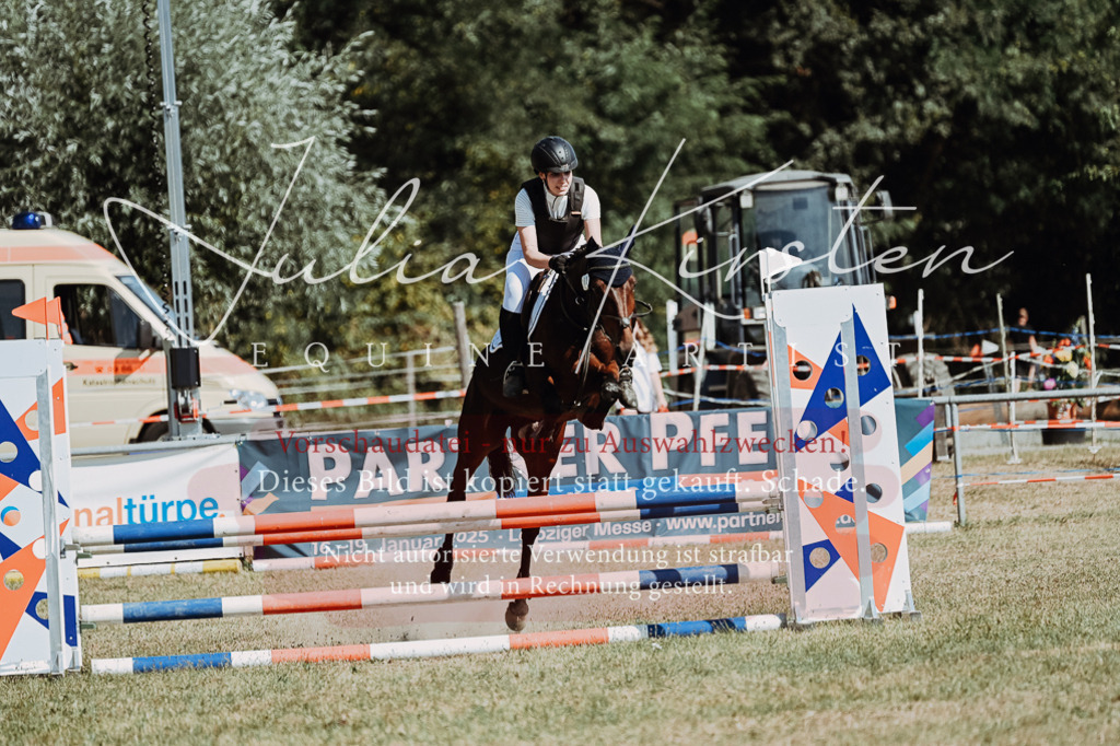 DSC_9668 | Pferde- und Turnierfotografie in Westsachsen. Pferdeportraits, Auftragszeichnungen und intuitive Kunst.