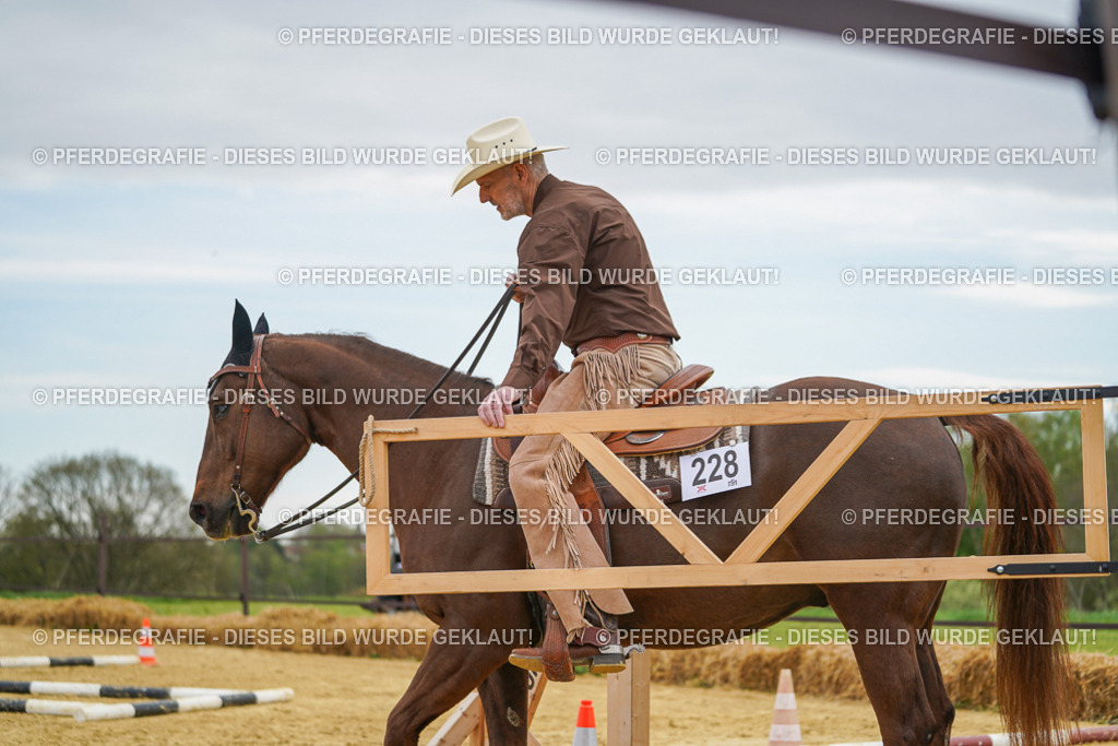 DSC02873 | Pferdegrafie