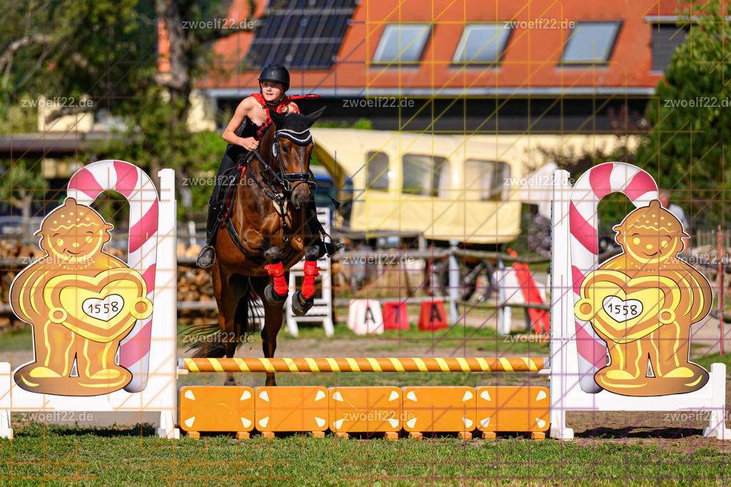 30 Jahre RFV Pulsnitz e.V., Pulsnitz am 09.08.2026 | Zur 28. breitensportlichen Veranstaltung des RFV Pulsnitz e.V. fanden verschiedene Wettbewerbe in nahezu allen Disziplinen des Pferdesport statt. - 05 Kostüm-Stilspring-Wettbewerb - Realisiert mit Pictrs.com