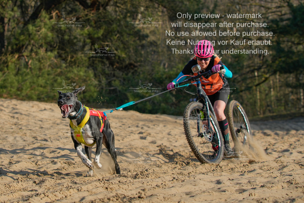 So_Scooter-142 | stephaniefillaphotographie - Realisiert mit Pictrs.com