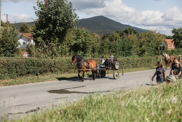 7V6A3032 | natalia-nirschl-photography