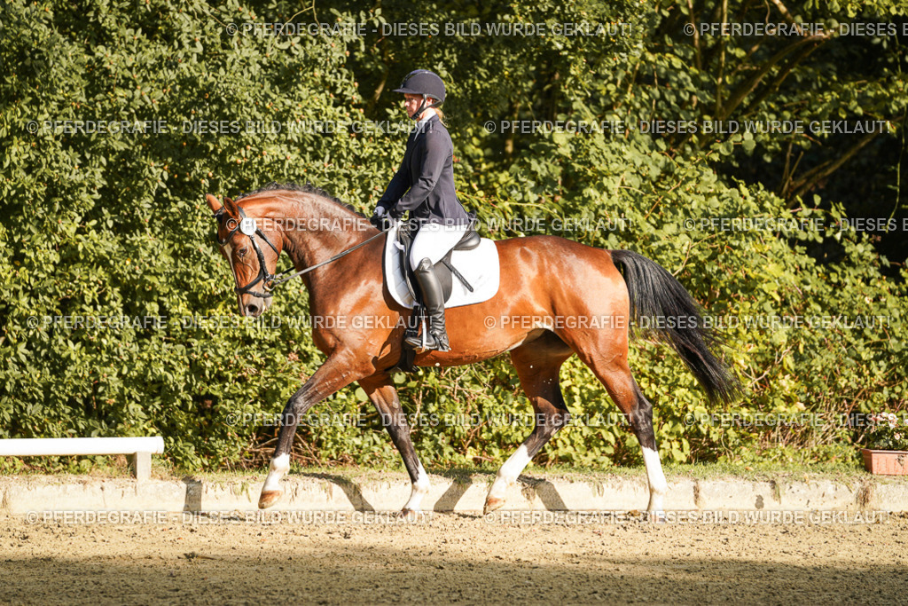 DSC05398 | Pferdegrafie