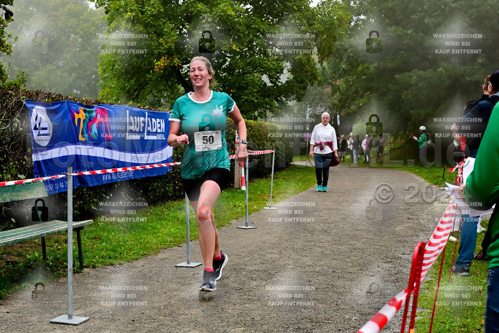 Z8N_2071 | la-psv - Realisiert mit Pictrs.com