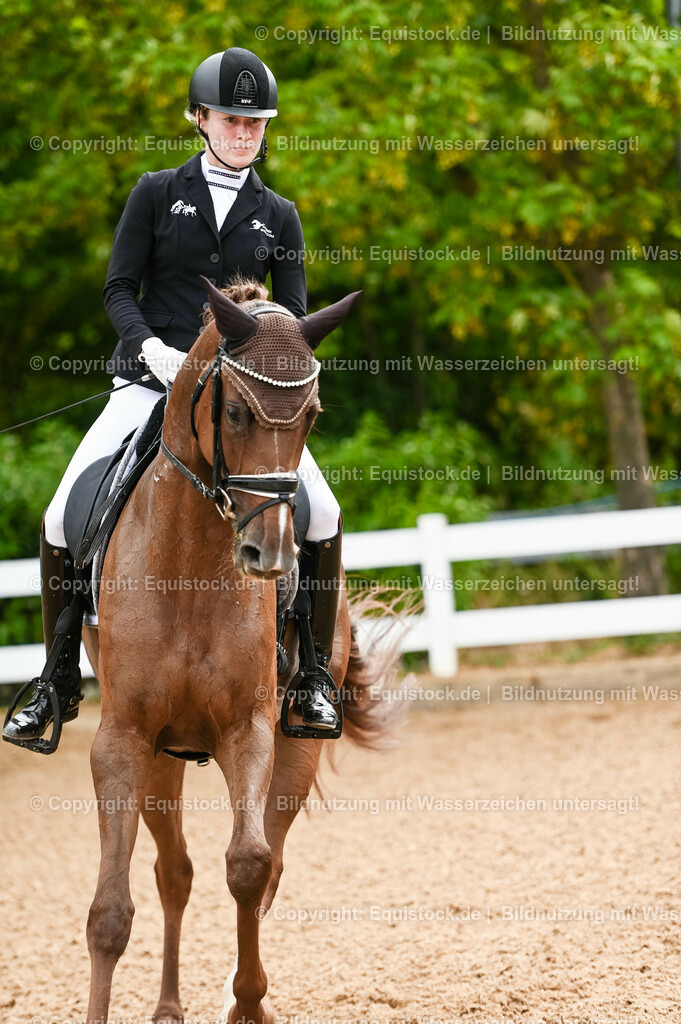 20230715_07_Dressurpferdeprfg. Kl.L_0068 | equistock