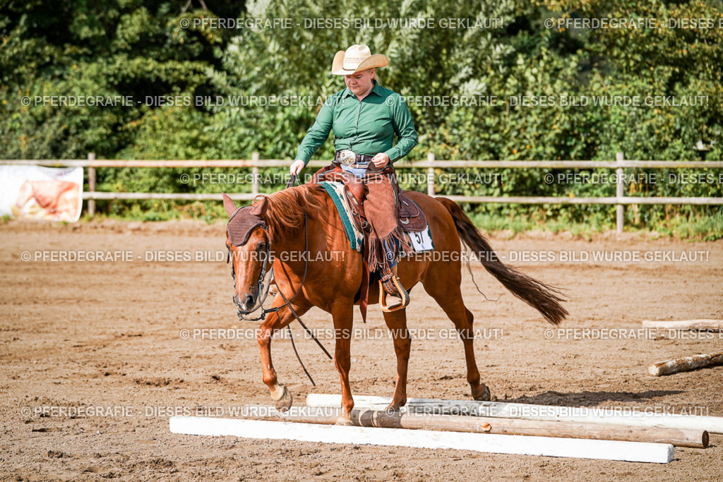 DSC00180 | Pferdegrafie