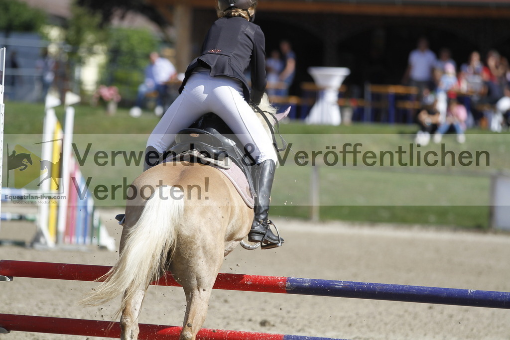 _MG_4521 | equestrian-live-com