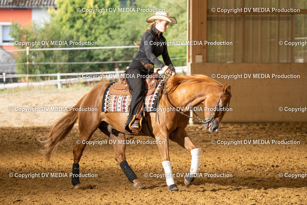 LAU01451 | dv-media-shop - Realisiert mit Pictrs.com