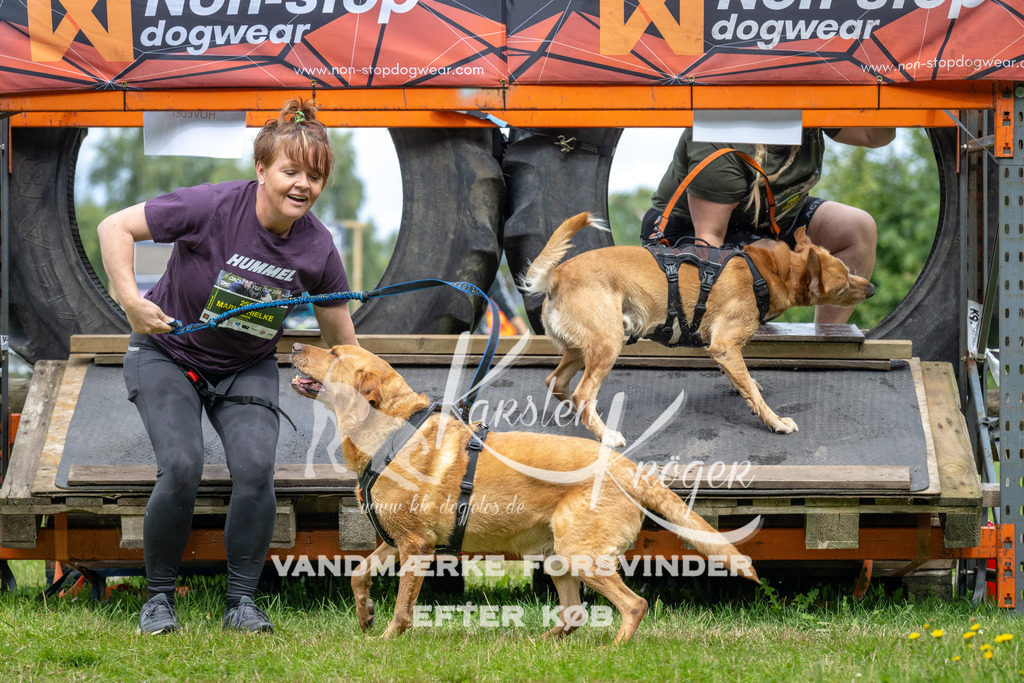 1233_ZZ93951 | kk-dogfotos