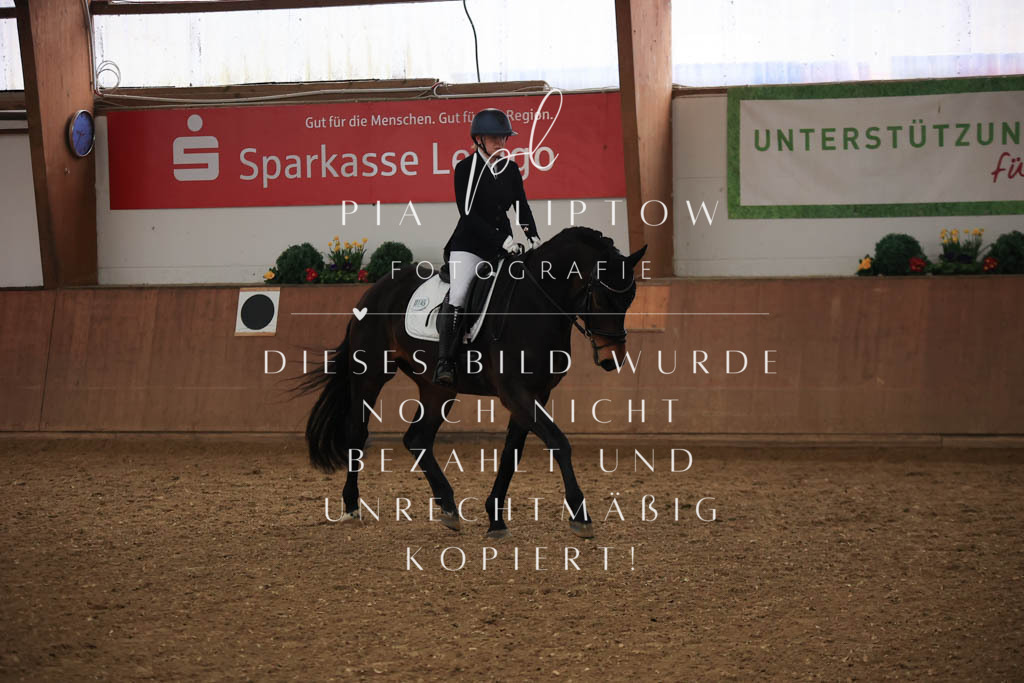 IMGT6800 | pl-fotografie