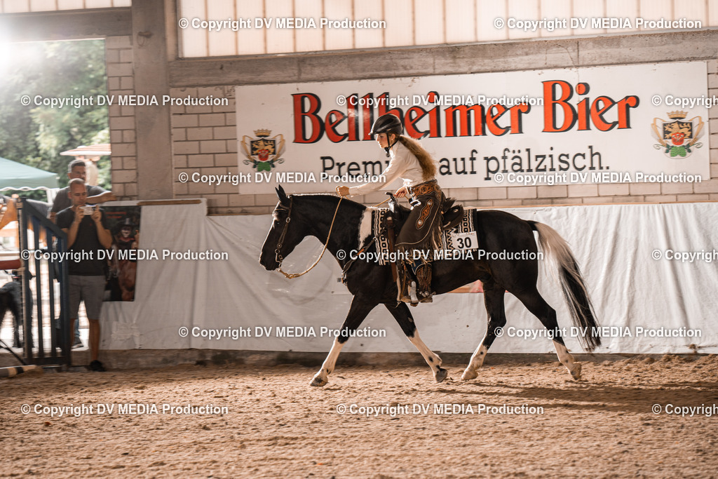 ZH300250 | dv-media-shop - Realisiert mit Pictrs.com