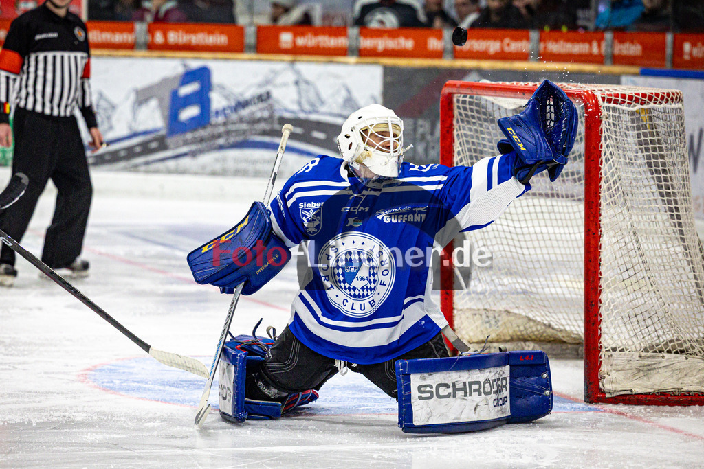 SC Forst NATURE BOYS gegen ESC Hassfurt HAWKS | Eishockey Landesliga Herren Playoffs 2024/25 - Spiel 2 von 4, SC Forst NATURE BOYS gegen ESC Hassfurt HAWKS, 20250222,Andreas SCHOLZ (Nature Boyz 29) in Aktion,2025-02-22 in Peißenberg (Eisstadion Peißenberg)Andreas SCHOLZ (Nature Boyz 29)Copyright: WolfgangxLindner foto-lindner.de