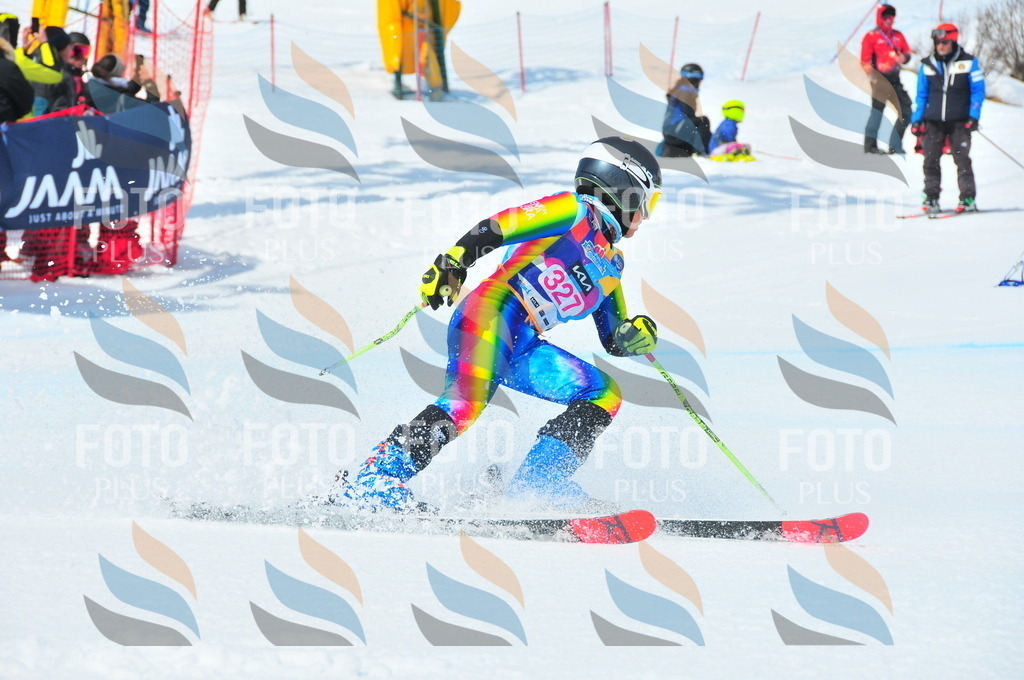 DSC_6778 | holidayphoto