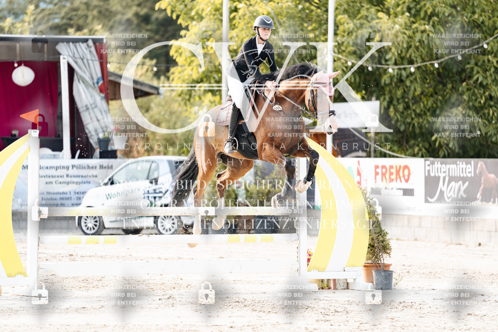 CK906812 | Turnierfotografie Pferdefotografie Trier Rheinland-Pfalz Pferdesport Reitsport Tierfotografie Sportfotografie Pferdevideo Pferdevideografie Equestrianvideography equestrianphotography  - Realisiert mit Pictrs.com