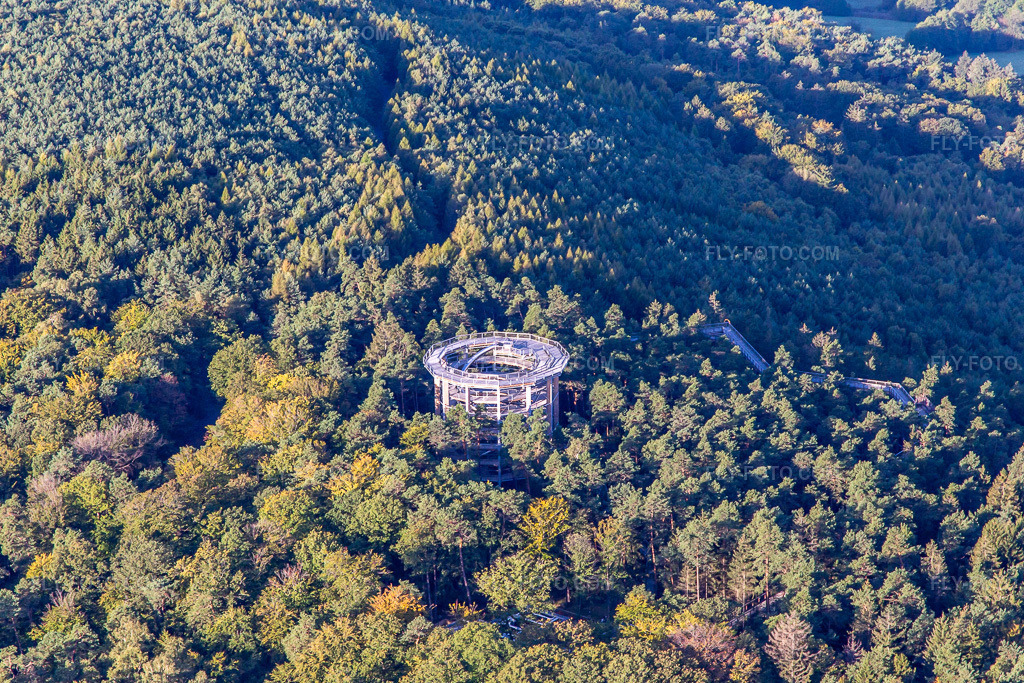Aerial view: Treetop Walkway Alsace in Cleebourg in the state Bas-Rhin, France. – Photo: IMG_138952.jpg taken on 09/24/2023 by Werner Riehm/FLY-FOTO.com – Resolution of the original: 5003 x 3335 px – den Baumwipfelpfaden der Erlebnis Akademie AG!