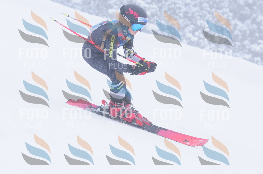 C1914 | holidayphoto