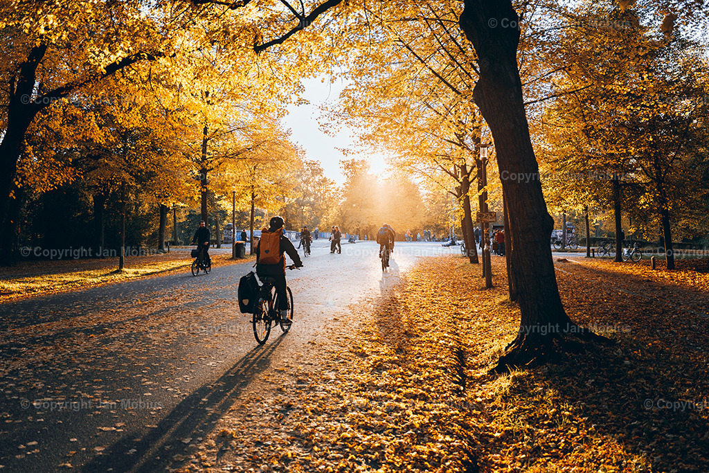 _DSC6978 | Leipzig Wandbilder Drucke Prints Leinwand Stadtmotive Leipzig Fotosdruck Kunstdrucke Bilder Leipzig Stadtansichten Acrylglasbilder Leipzig Wanddeko Fine Art Prints Wandbilder Büro Leipzig Bilder Praxis Zuhause Bilderdruck Poster Posterlounge Kunstdrucke - Realisiert mit Pictrs.com