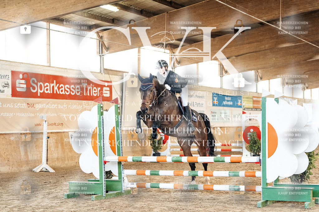 CK903826 | Turnierfotografie Pferdefotografie Trier Rheinland-Pfalz Pferdesport Reitsport Tierfotografie Sportfotografie Pferdevideo Pferdevideografie Equestrianvideography equestrianphotography  - Realized with Pictrs.com