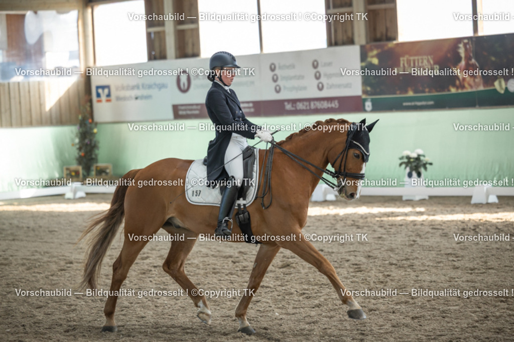 _D5A0445 | Emotionale Pferde- & People-Fotografie rund um Heidelberg, Leimen & Umgebung. Natürliche Fotos von Pferd, Mensch & Familie. Jetzt Termin sichern!