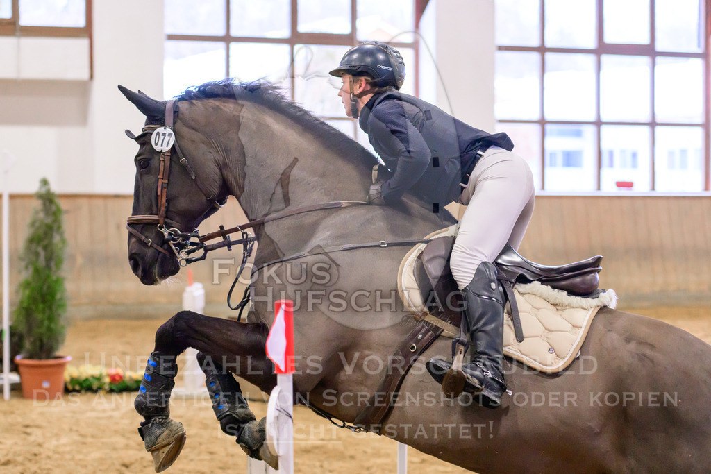 29032026-Schwaiganger-Prfg03-1-1312 | Fokus Hufschlag Fotografie - Realisiert mit Pictrs.com