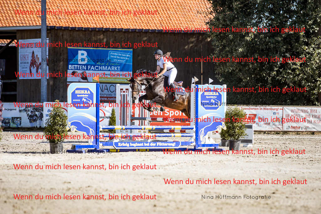 BK1A8005 | Turnierbilder Turnierfotos Nina Hüffmann Turnierfotografie Pferdefotografie Tierzeichnung Haustierzeichnung Pferdezeichnung Hundezeichnung Videograf  - Realisiert mit Pictrs.com