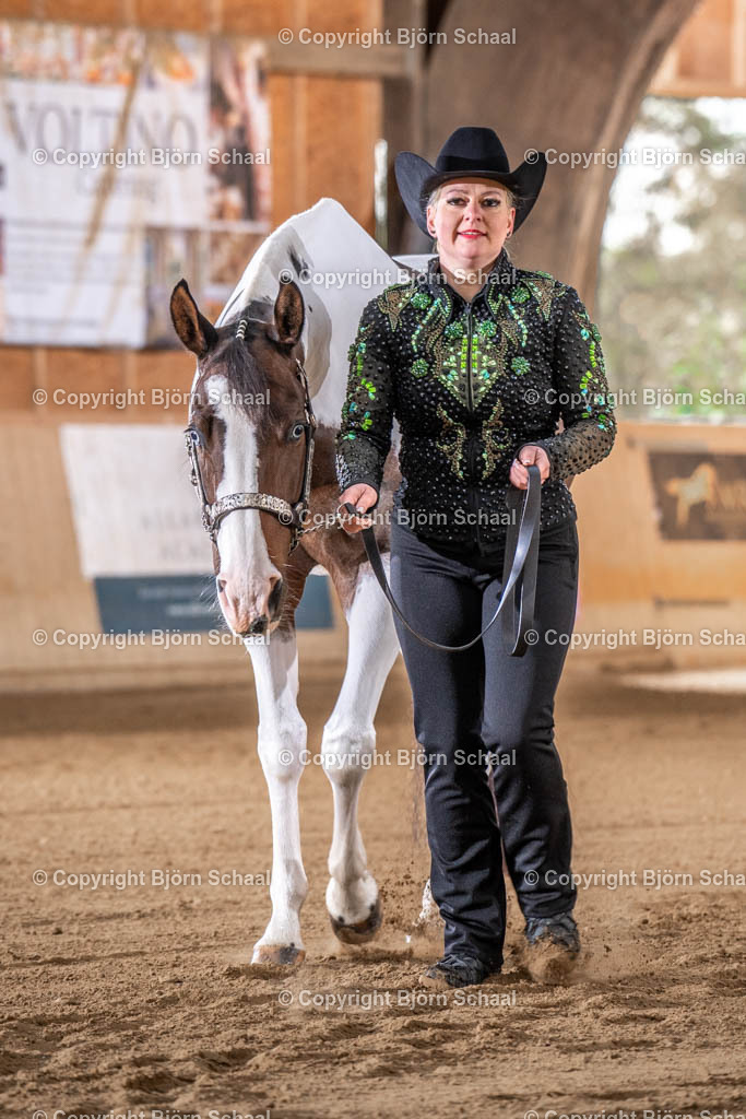 LMB07878 | BS-foto