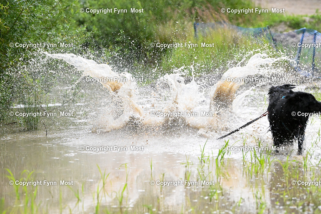 DSC_1015 | Hallo und herzlich Willkommen auf meiner Shop-Seite Fynn Most.

Ich wünsche Dir viel Spaß beim stöbern durch die Bilder, wenn Du Fragen hast oder Bilder vermisst, kannst du mir gerne eine Nachricht schreiben. - Realisiert mit Pictrs.com
