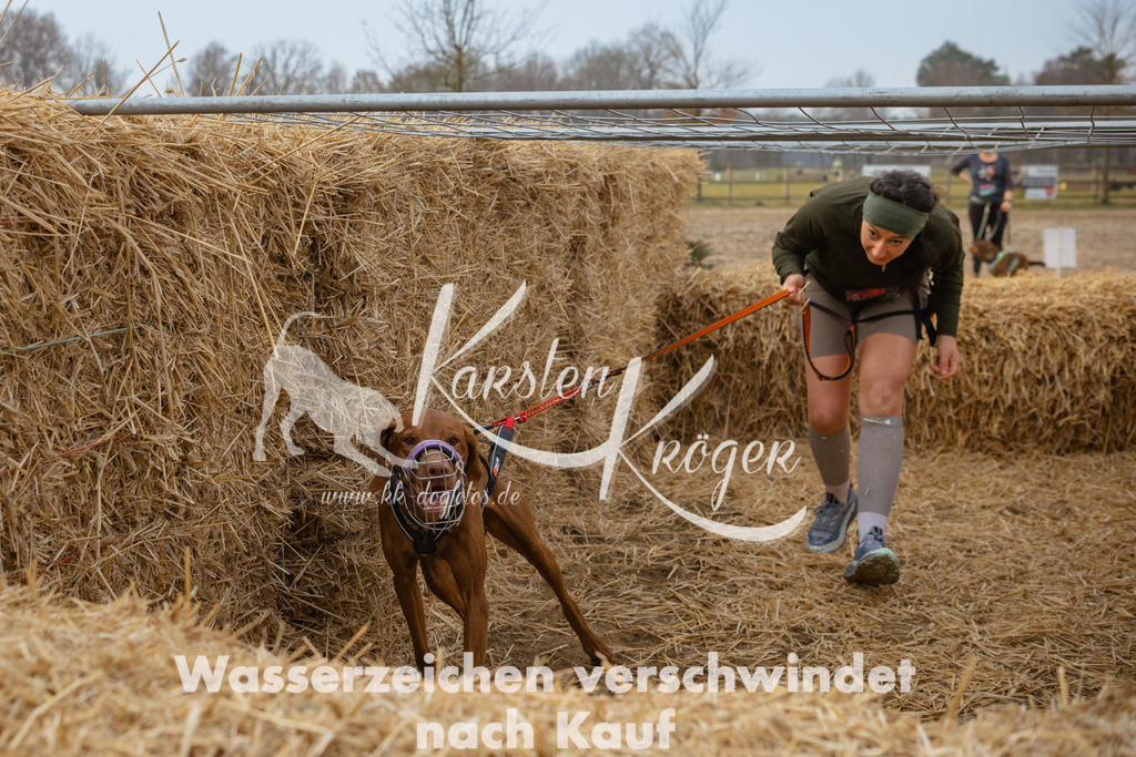 0850_ZZ95106 | kk-dogfotos