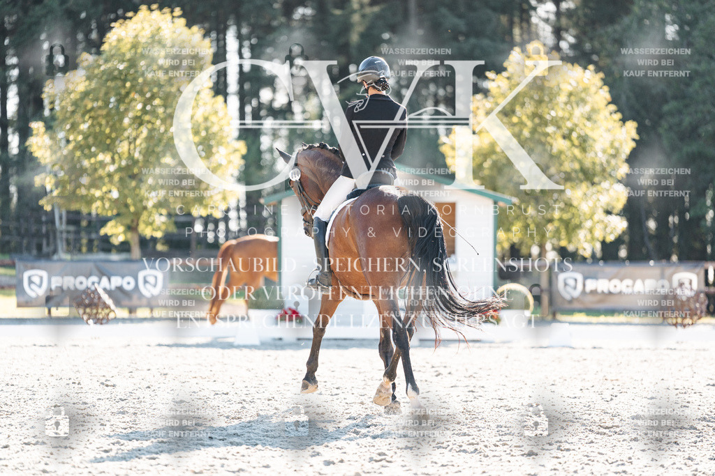 CK906763 | Turnierfotografie Pferdefotografie Trier Rheinland-Pfalz Pferdesport Reitsport Tierfotografie Sportfotografie Pferdevideo Pferdevideografie Equestrianvideography equestrianphotography  - Realisiert mit Pictrs.com