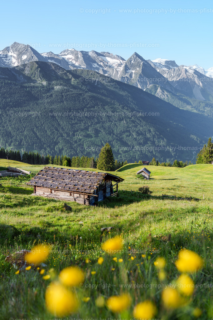  Lämmerbichl Morgens im Sommer copyright  Thomas Pfister-2 | PHOTOGRAPHY BY THOMAS PFISTER