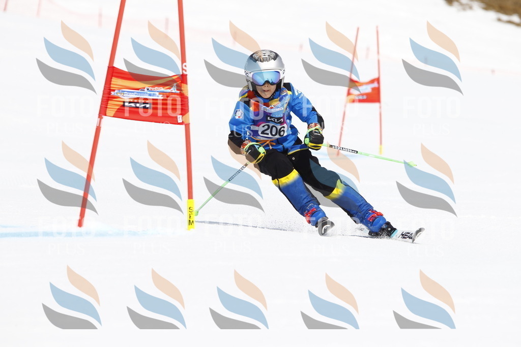 _U3G5347 | holidayphoto