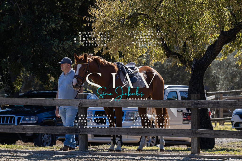 IMG_0216 | s-jay-photography - Realisiert mit Pictrs.com