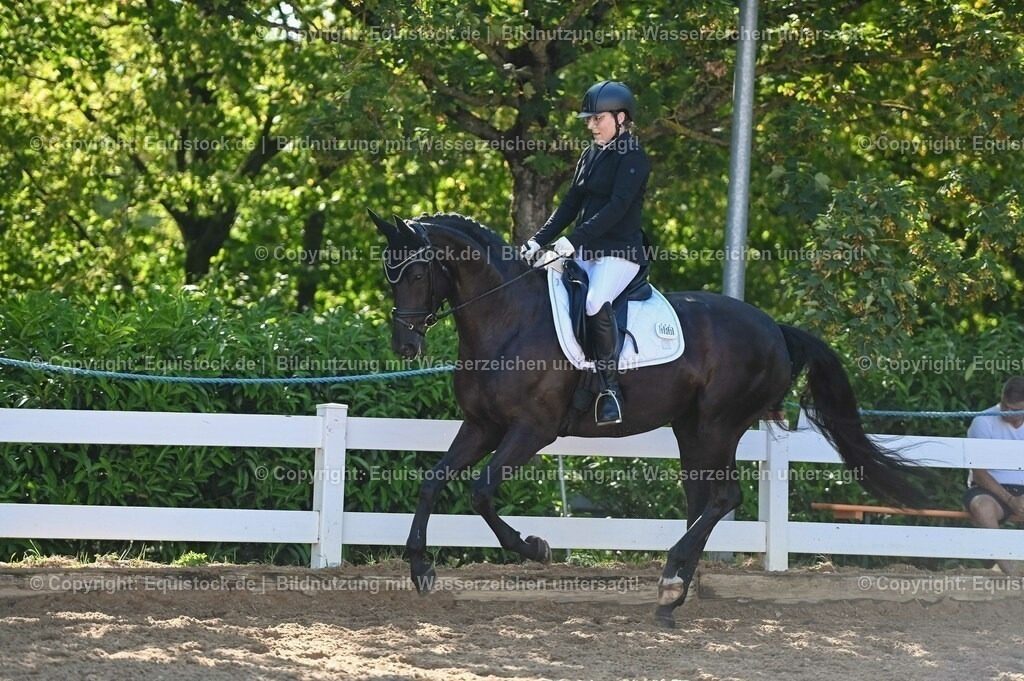 20230715_06_Dressurpferdeprfg. Kl.A_0345 | equistock