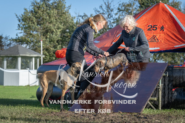 1542-90409 | kk-dogfotos