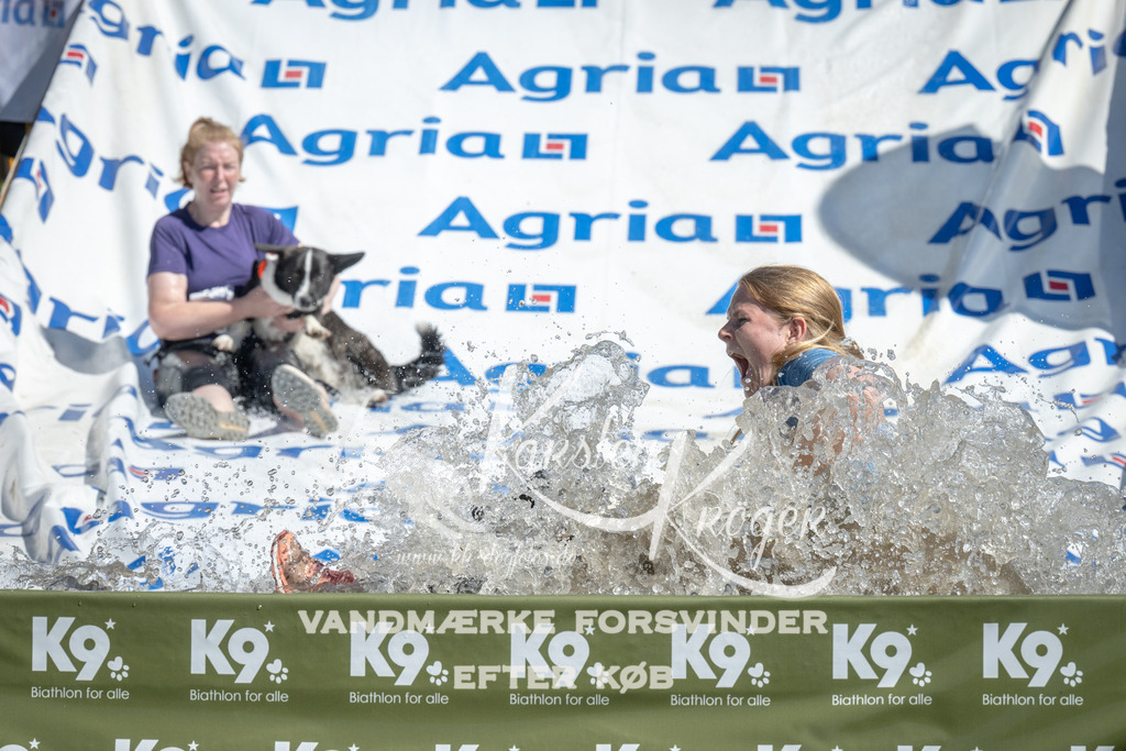 1212_ZZ95258 | kk-dogfotos