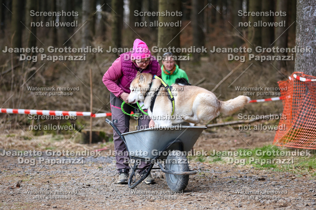Dog Paparazzi - VCC26-786 | Dog Paparazzi Jeanette Grottendiek Fotografie & Videografie - Realisiert mit Pictrs.com