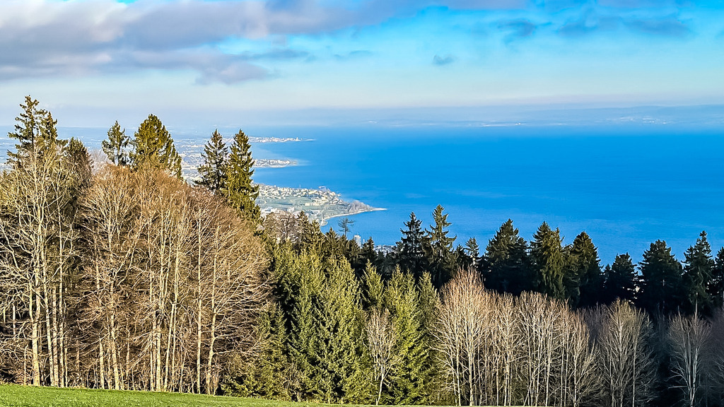 PSX_20230404_231526 | mtkfoto_ - Realisiert mit Pictrs.com