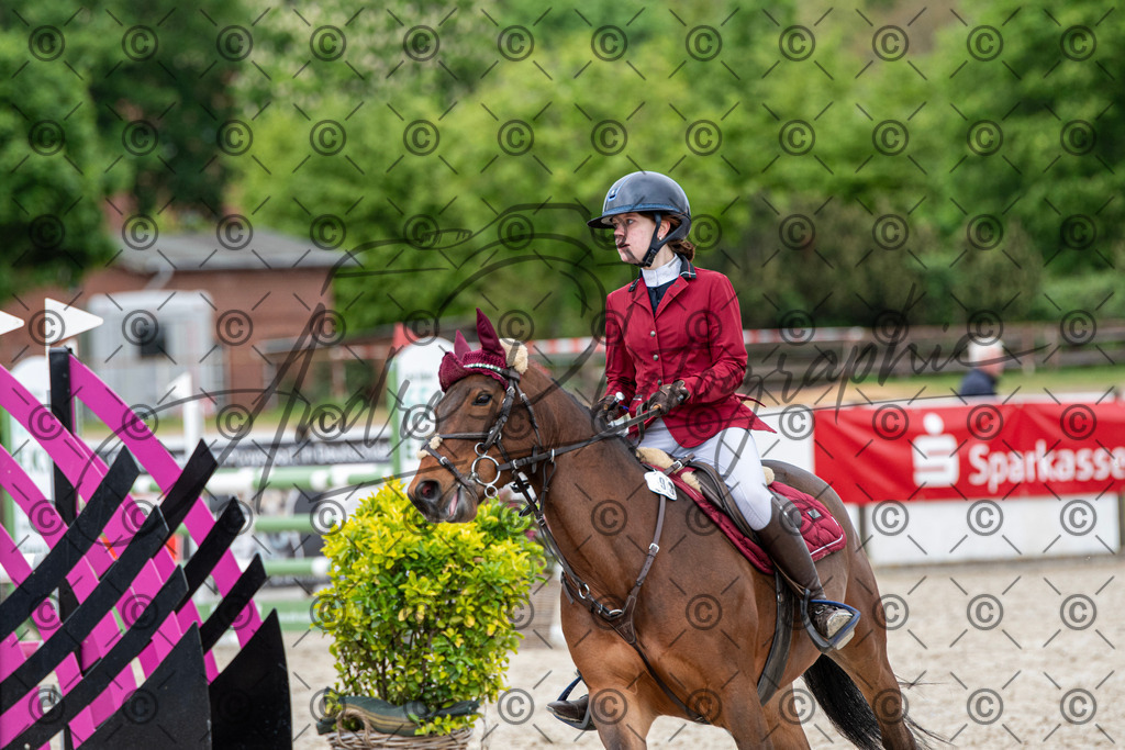 KPT_8283 | andre_photographic