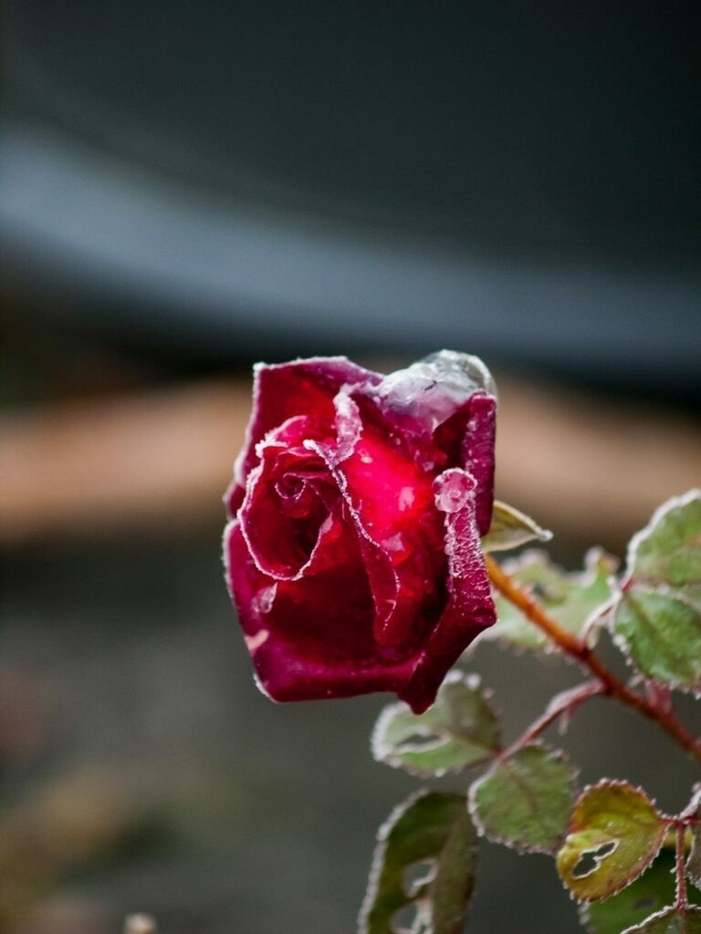 PSX_20221203_234552 | mtkfoto_ - Realisiert mit Pictrs.com