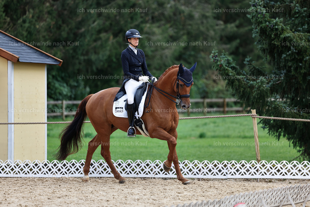 12-220-DRESSUR  S___  -StoibPH-5316 | working equitationturnier fotograf videograf stoibphotography marixx film working equitation deutschland reitsport turnierfotografie eventfotografie equestrian events